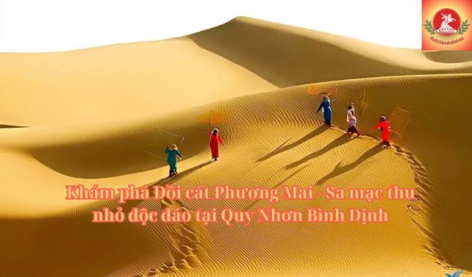 Khám phá Đồi cát Phương Mai - Sa mạc thu nhỏ độc đáo tại Quy Nhơn Bình Định