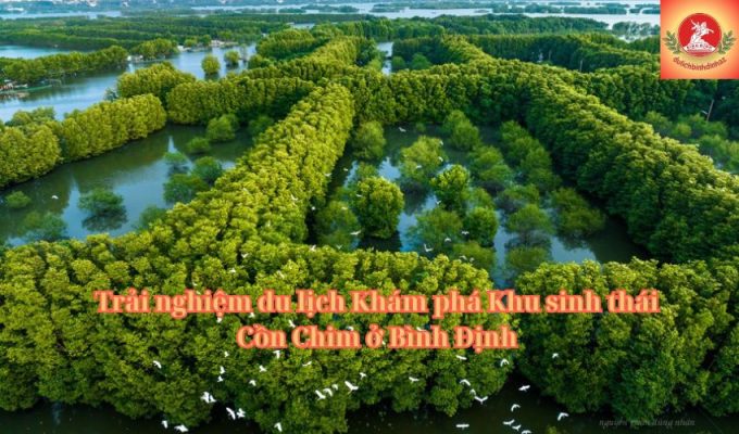 Trải nghiệm du lịch Khám phá Khu sinh thái Cồn Chim ở Bình Định